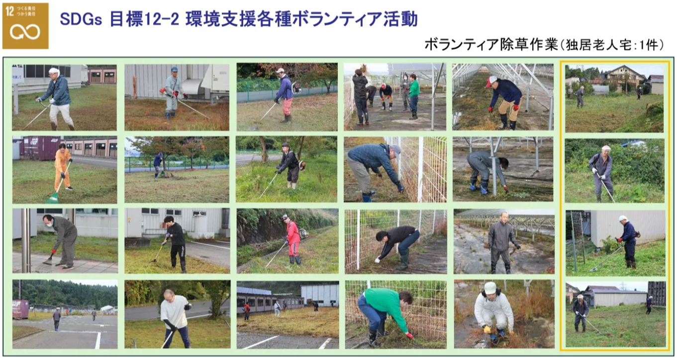 独居老人宅除草作業
